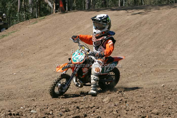 678x444 pixels (80K)